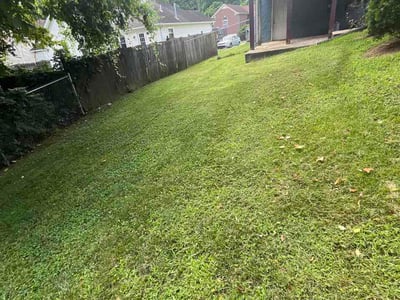 Lawn Care service in Pleasant View, 37146