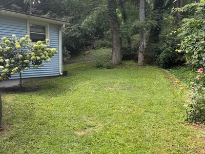 Lawn Care service in Mount Juliet, 37122