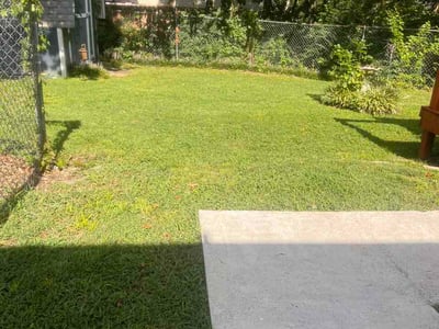 Lawn Care service in Mount Juliet, 37122