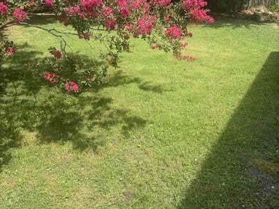 Lawn Care service in Burke, 22015