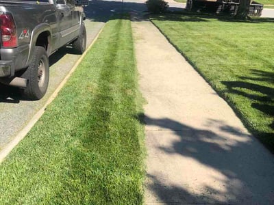 Lawn Care service in Bel Air, 21014