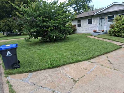 Lawn Care service in Calabasas, 91302