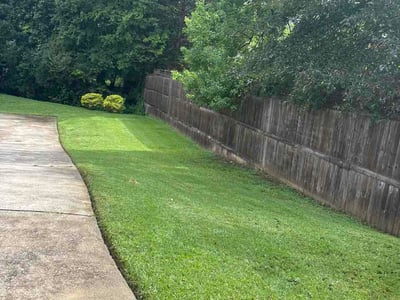Lawn Care service in La Mesa, 91942