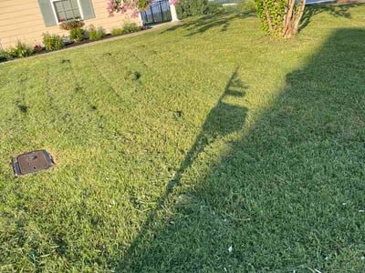 Lawn Care service in Columbia, 38401