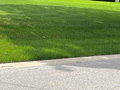 Lawn Care service in Palatine, 60074