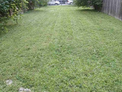 Lawn Care service in Glen Ellyn, 60137