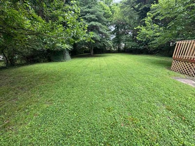 Lawn Care service in Hyde Park, 45208