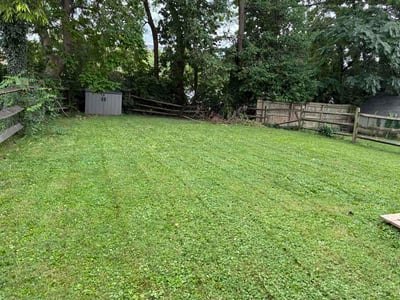 Lawn Care service in Norwood, 45212