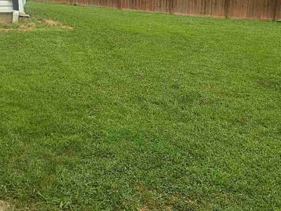 Lawn Care service in Sullivan, 63080