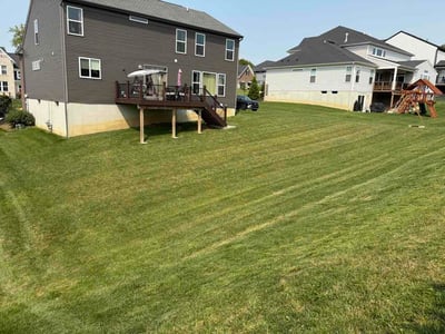 Lawn Care service in Norwood, 45212