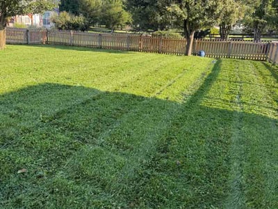 Lawn Care service in West Chester, 45069