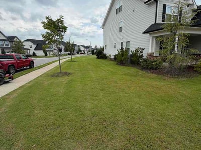 Lawn Care service in Knightdale, 27545