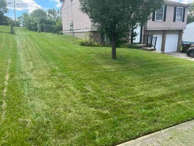 Lawn Care service in Fairfield, 45014