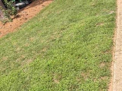 Lawn Care service in Siler City, 27344