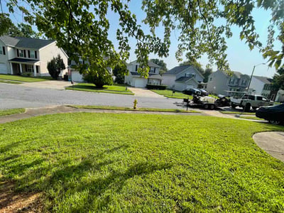 Lawn Care service in Mission Viejo, 92692