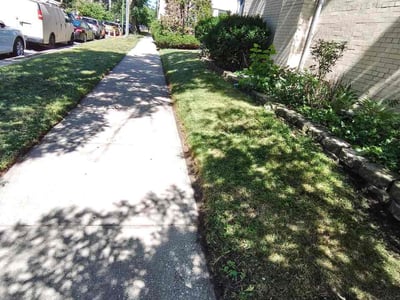 Lawn Care service in ,