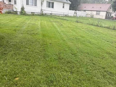 Lawn Care service in Haysville, 47546