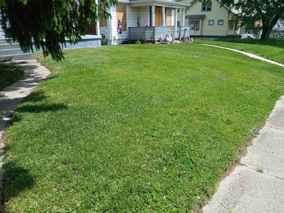 Lawn Care service in Haysville, 47546
