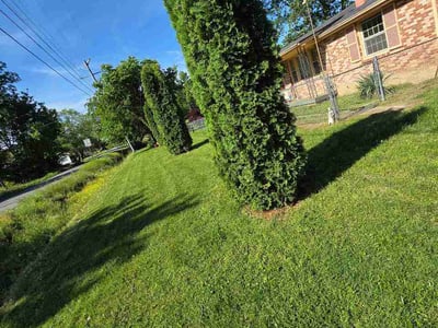 Lawn Care service in White House, 37188