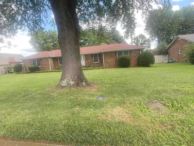 Lawn Care service in White House, 37188