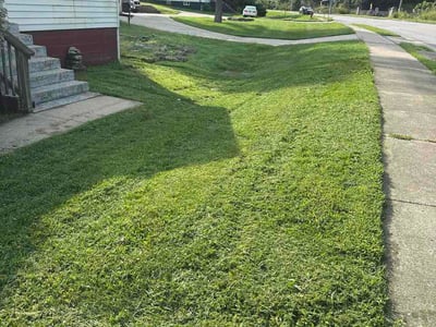 Lawn Care service in Sellersburg, 40475