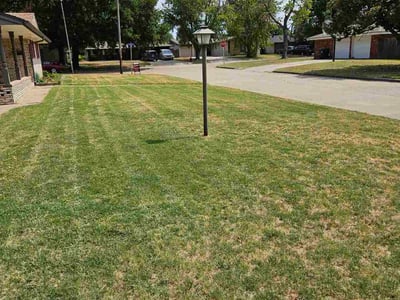 Lawn Care service in South Portland, 04106