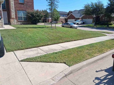Lawn Care service in Spring Valley, 91977