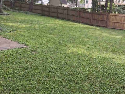 Lawn Care service in Burns, 37029