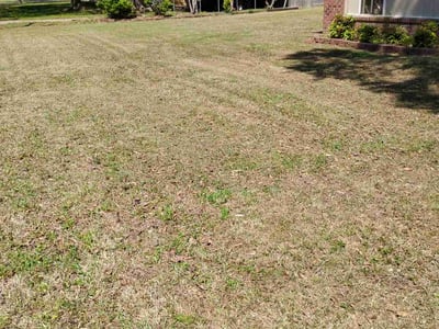 Lawn Care service in East Wenatchee, 98802