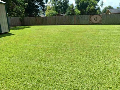 Lawn Care service in Gonzales, 70737