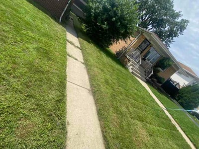 Lawn Care service in Calumet City, 60409