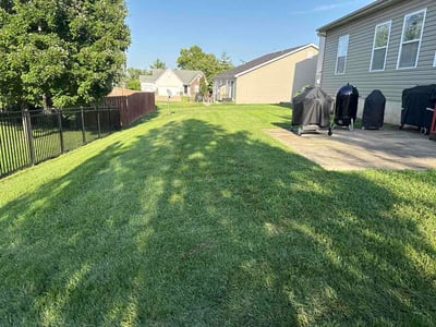 Lawn Care service in Vista, 92083