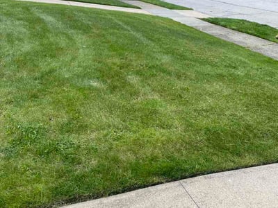 Lawn Care service in Avon Lake, 44012