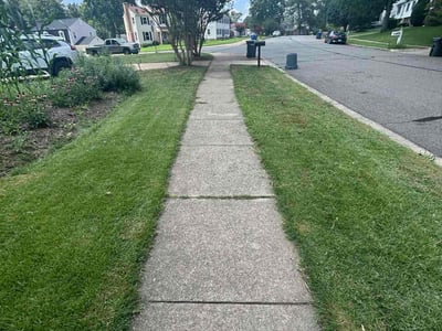 Lawn Care service in Lorton, 22079