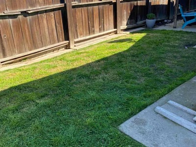 Lawn Care service in Tracy, 95376