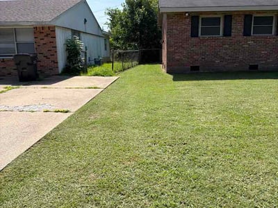 Lawn Care service in Jonesboro, 72401