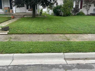 Lawn Care service in Hamilton, 45011