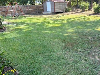 Lawn Care service in Jonesboro, 72401