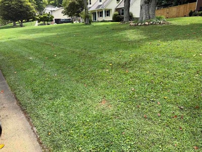 Lawn Care service in Loudon, 37774
