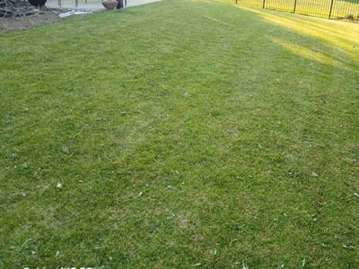 Lawn Care service in Montgomery, 60538