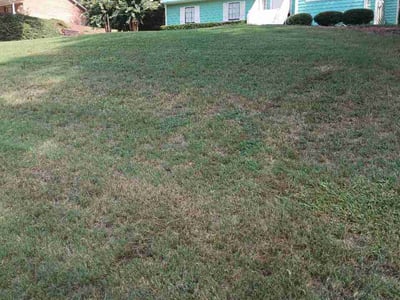 Lawn Care service in Carlsbad, 92008