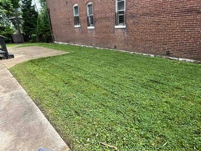 Lawn Care service in O Fallon, 63366