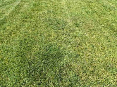 Lawn Care service in Bartlett, 60103