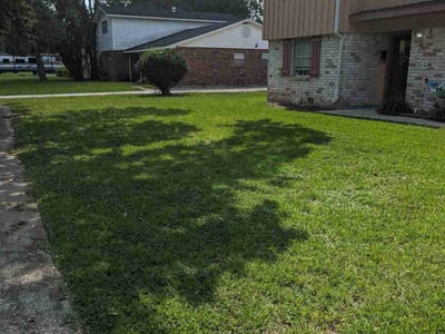 Lawn Care service in Baton Rouge, 70802