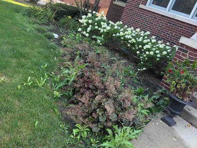Lawn Care service in Bartlett, 60103