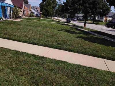 Lawn Care service in Roselle, 60172