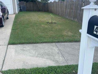 Lawn Care service in Piedmont Triad, 27523