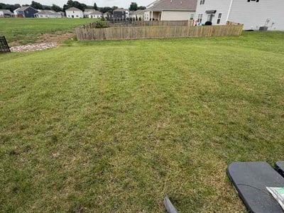 Lawn Care service in Newark, 43055