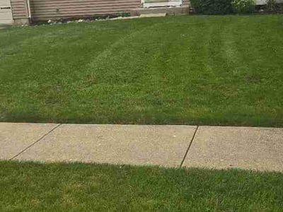 Lawn Care service in Wilmette, 60091