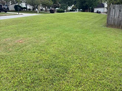 Lawn Care service in Owensboro, 42303
